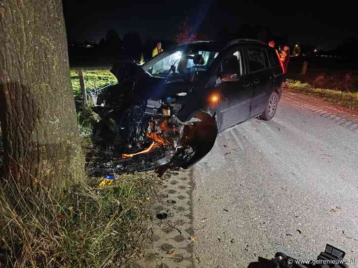 Auto crasht regen boom, bestuurder gewond
