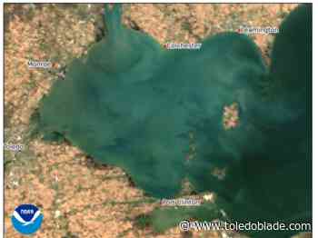 Western Lake Erie algal bloom lasts into November again