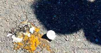 Grande Prairie woman injured by egg thrown in face while handing out Halloween candy