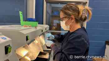 Georgian College's dental program offers affordable care and hands-on student learning