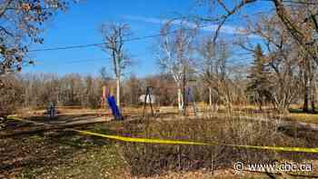 2 teens arrested in death of Brandon man found unresponsive in Swan River park