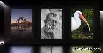 Best iPhone 16 Pro pictures I’ve seen yet