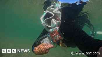 How two crashes and love of ocean changed a life