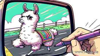 KI Navigator #8: GenAI-Mogelpackung Reflection Llama