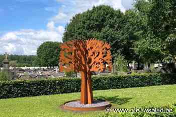 Gedenkboom op elke begraafplaats: “In alle stilte verpozen”