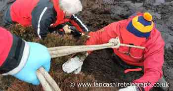 Dramatic moment walker gets stuck waist-deep in bog unable to move