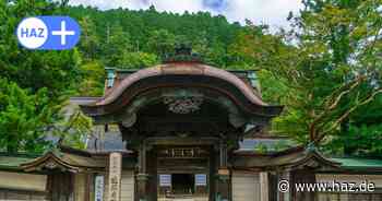 Vermisster Claudio Worm aus Hannover-Burgdorf: Deutscher Tourist vor Japan tot aufgefunden
