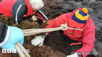 Man rescued after getting stuck waist-deep in mud
