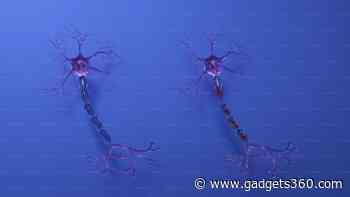 Researchers Develop Cell-Level Wearable Devices to Restore Neuron Function