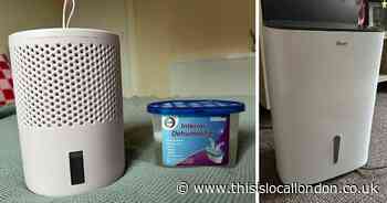 I compared £1.39 to £200 dehumidifiers in autumn – which one saved my house?