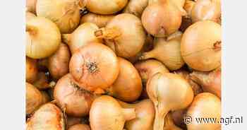 Exportcijfers uien week 40