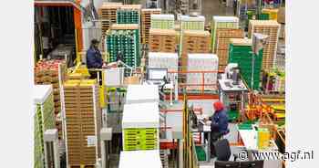 BAMA wil aandeel Noorse AGF de komende jaren fors verhogen