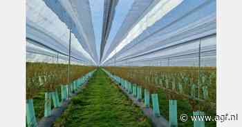 "Het systeem maakt continu stabiele kwaliteiten en hoeveelheden mogelijk"