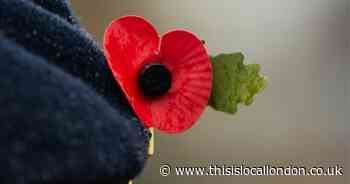 The Remembrance Day events taking place across Barking and Dagenham