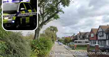 Man found dead at scene of incident in Eltham