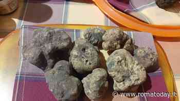 Festa del tartufo di Campoli Appennino