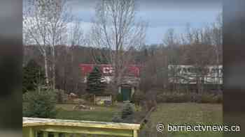 Pedestrian hit by train in Craighurst