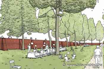 Pastorietuin wordt plek voor bezinning en ontmoeting: “Waardevolle bomen worden behouden”