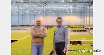 Nieuwe bio-opkweker kijkt verder na vliegende start