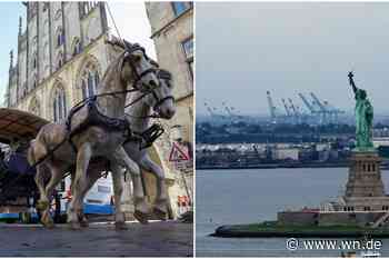 Sieben Dinge, die Münster mit den Vereinigten Staaten verbinden