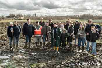 Opnieuw aanplant van 4.200 bomen in Bergmolenbos