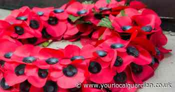 Why we wear poppies for Remembrance Day and when to start wearing them