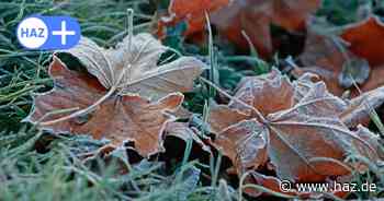 Wetter in Hannover: Frost-Warnung für 6. November bei Regiobus-Streik