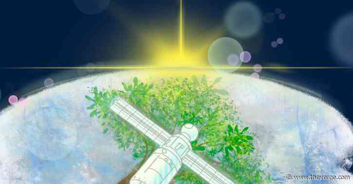 The first wooden satellite launched into space
