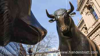 Börsengang: Fünf Gründe, warum die Märkte florieren, aber es kaum IPOs in Deutschland gibt
