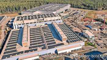 Bei Boysen in Simmersfeld: Neuer Anlauf nach fast 15 Jahren