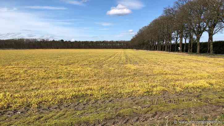 Provinciale Staten willen onderzoek naar verbod op landbouwgif
