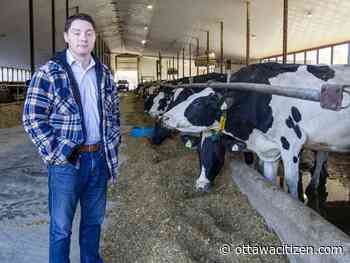 Denley: Ottawa's rural councillors need facts and figures to back their demands