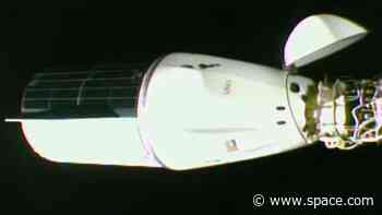 SpaceX Dragon cargo capsule arrives at ISS Nov. 5 for 31st supply mission (video)
