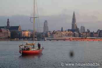 Coup de chocolat zeilt 700 kilo cacaobonen van Colombia naar Antwerpen: “Dit is de meest ecologische keuze”