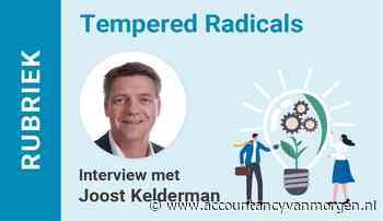 Tempered Radicals | Joost Kelderman: “Klanten zouden een serieus continuïteitsprobleem hebben”