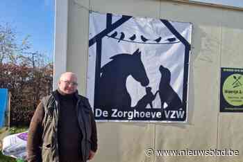 Inzamelactie gestart om dierenasielen in Valencia te steunen