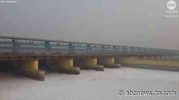 WATCH:  Toxic foam covers India's Yamuna River