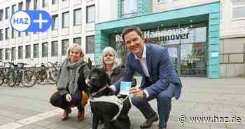Klinik in Hannover wirft Assistenzhund und Blinden raus: Region will Personal schulen