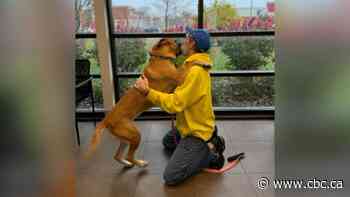 After 2-year cancer battle, Fort Erie, Ont., man reunites with dog he never thought he'd see again