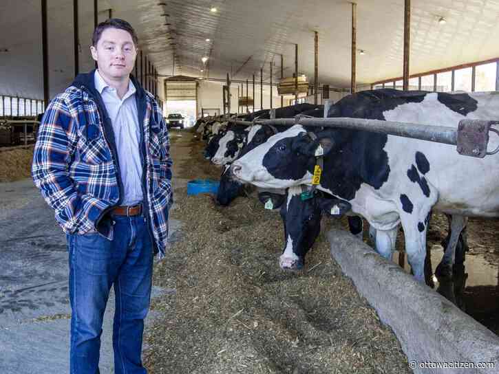 Denley: Ottawa city hall pledges action for rural communities, but is doubling the ditch fund enough?