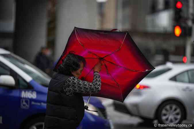 Lights back on for almost all BC Hydro customers who lost power in strong winds