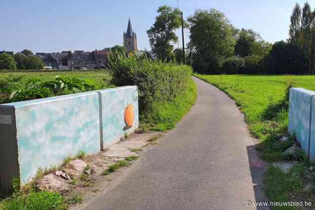 Natuur beleven in het dorpscentrum: natuur- en speelzone Hernedries moet tegen eind dit jaar klaar zijn
