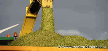 Maïshakselaars kunnen bijna de winterstalling in