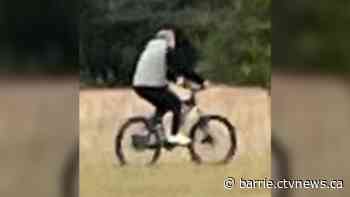 Police seek cyclist accused of committing indecent act in Georgina