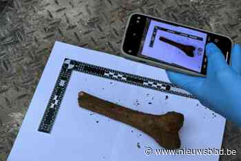 Menselijke resten ontdekt tijdens renovatiewerken aan kerktrappen