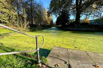 Wie Münster kurzfristig zu einer neuen Sehenswürdigkeit kam