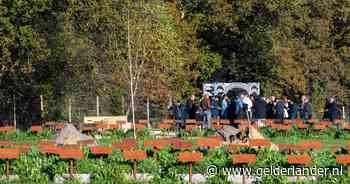 Conflict rond islamitische begraafplaats, roep om nieuw dodenakker voor ‘uitsluitend Arnhemse moslims’