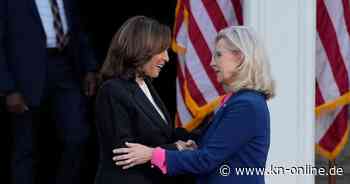 US-Wahl 2024: Welche Republikaner sind für Kamala Harris und gegen Donald Trump?