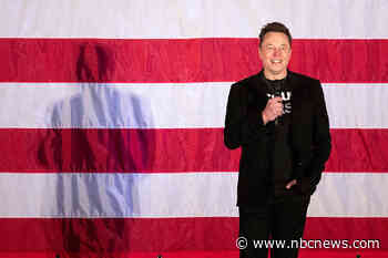 Elon Musk could be the biggest winner of a second Trump term