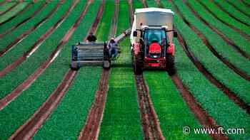 British farming needs a clearer future